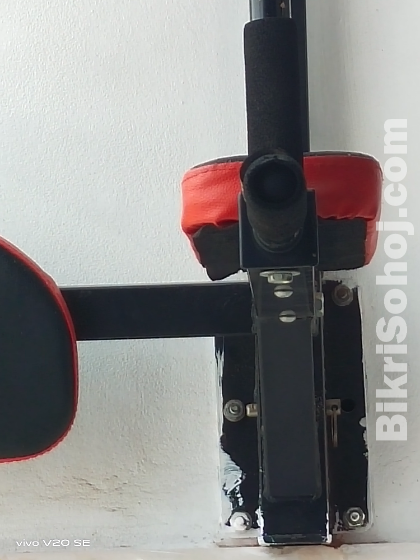 Wall mounted pull up &chin up bat